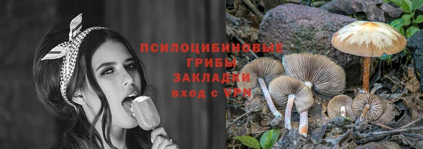 герыч Лагань