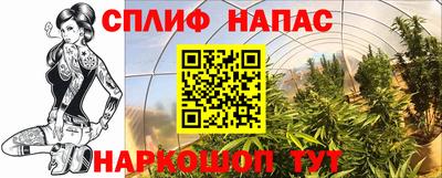 прущие грибы Малоярославец