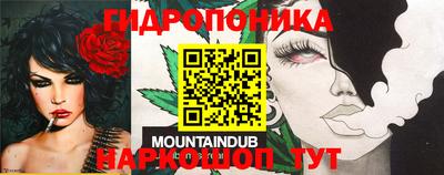 прущие грибы Малгобек