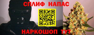 прущие грибы Малгобек