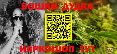 прущие грибы Малгобек