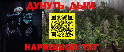 прущие грибы Малгобек