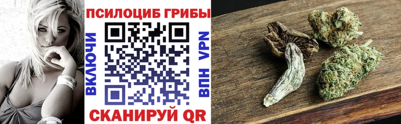 наркошоп  Рязань  Галлюциногенные грибы Psilocybine cubensis 