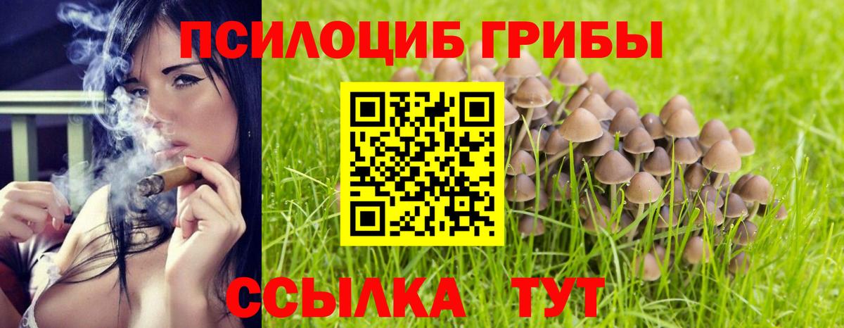 Галлюциногенные грибы мухоморы  Вход с VPN  Рязань 