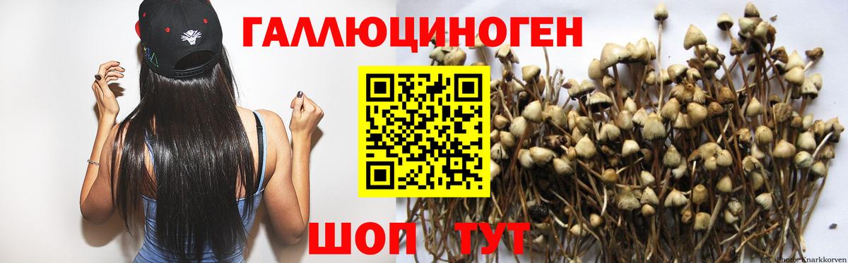 Псилоцибиновые грибы ЛСД Рязань